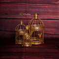Golden Cage - Set of 3