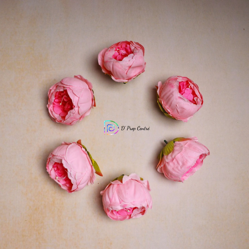 Peonies Flowers