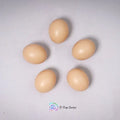 Village Eggs (Set of 5)