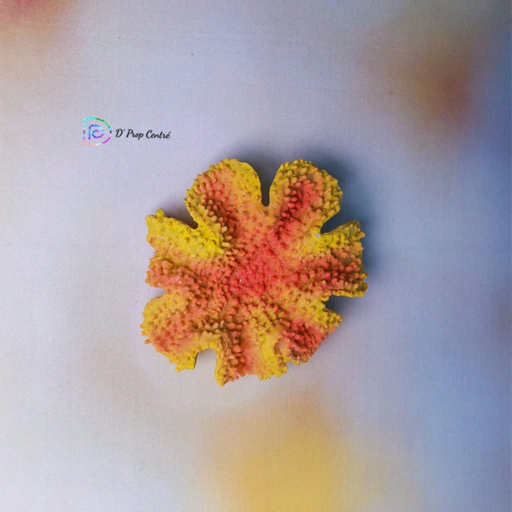 Coral