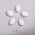 Plastic Eggs (Set of 5)