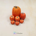 Pumpkin Set of 7