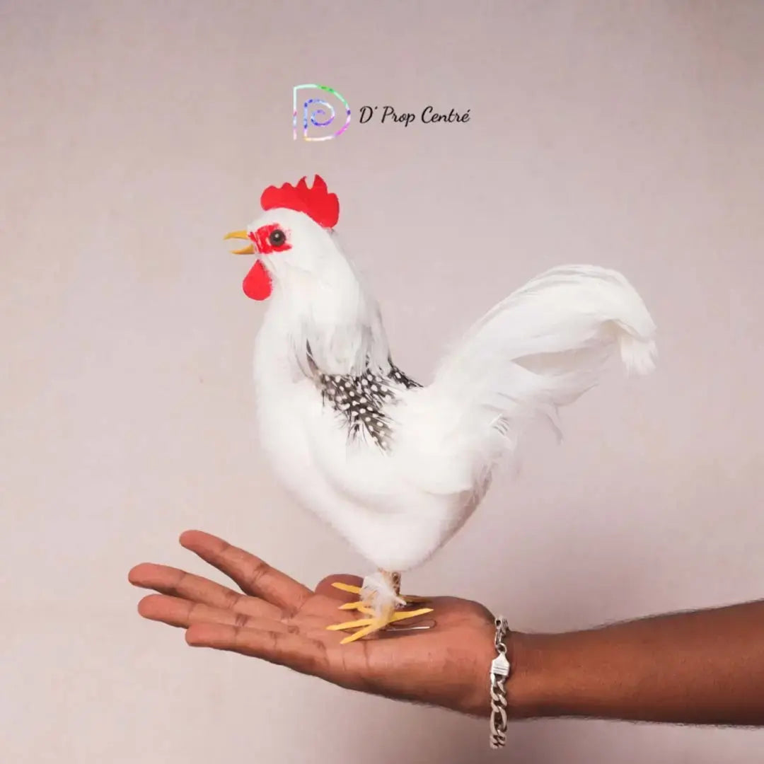 White Cock