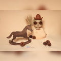 Theme 038 - Newborn Cowboy Theme