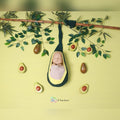Theme 020 - Avocado Theme