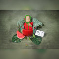 Theme 024 - Watermelon Theme
