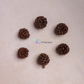 Pinecones Set of 6