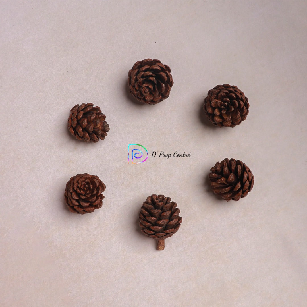 Pinecones Set of 6