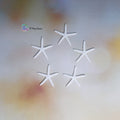 Mini Starfish - Set of 5