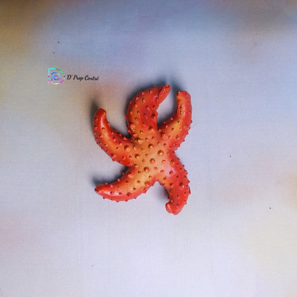 Dual Shade Starfish