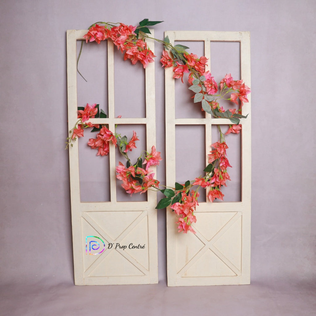 Bougainvilla Creeper