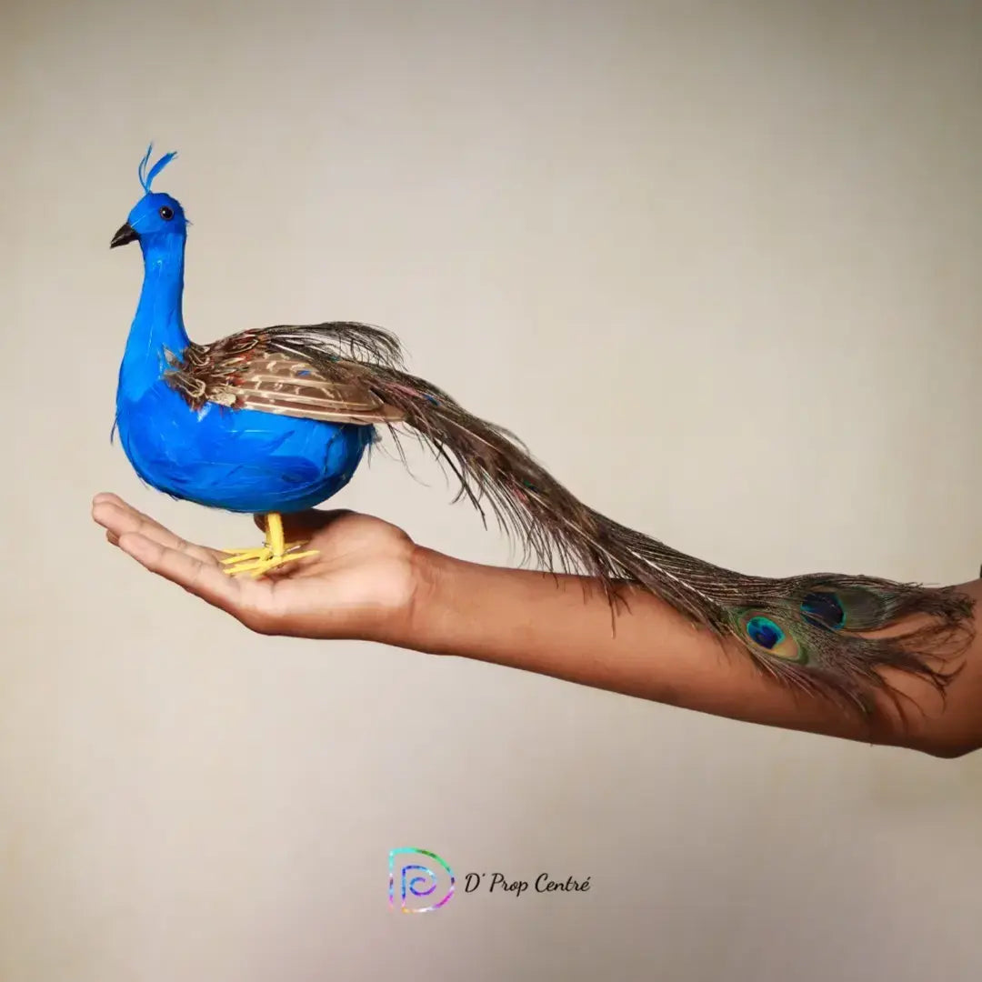 Peacock Type 1